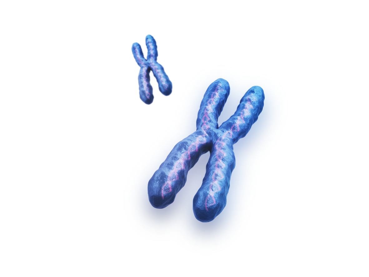 cancer cell