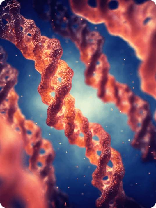 Rare Disease Solutions