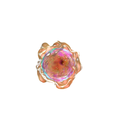 img2